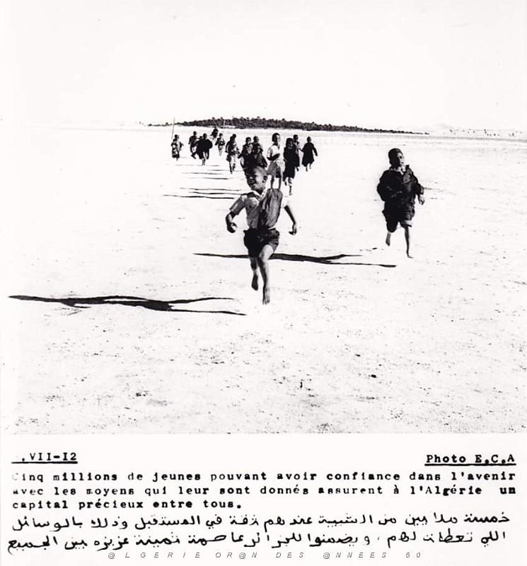 Algerie propagande 053.jpg